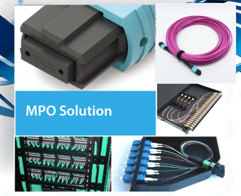 mtp news mtp news